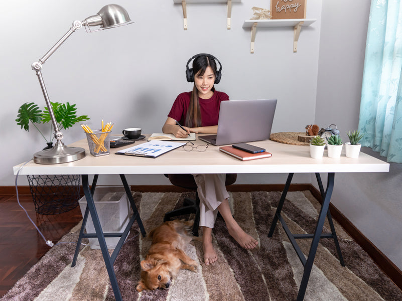 Must-have gadgets and accessories to make working from home more