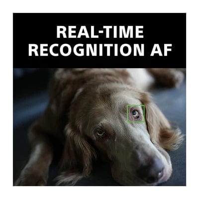 Sony ILCE-7CM2 Alpha 7C II Full-Frame Hybrid Camera