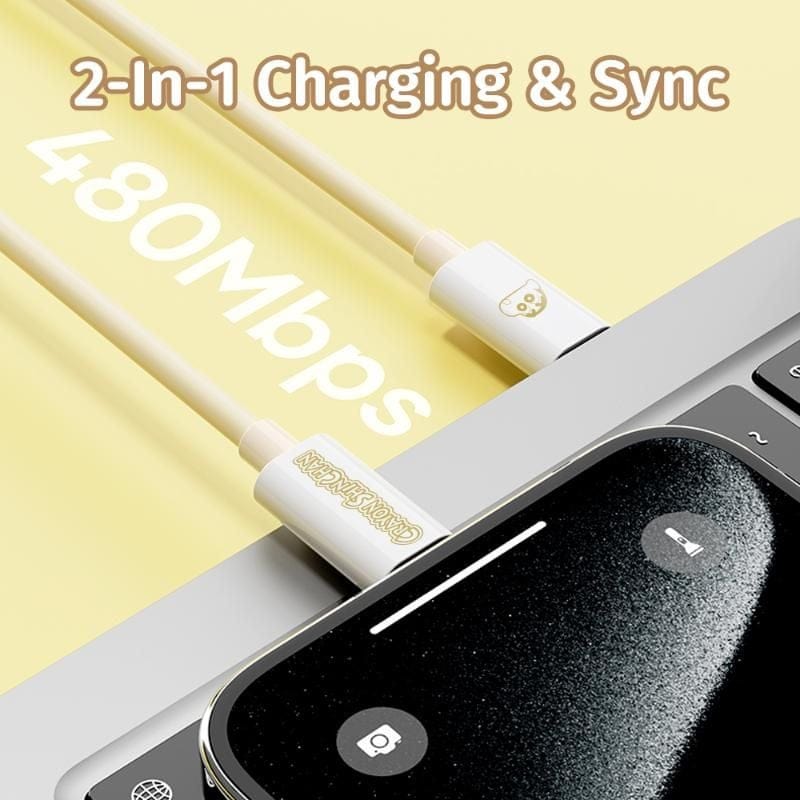 ROCK Crayon Shinchan PD100W/6A Fast Charging Cable