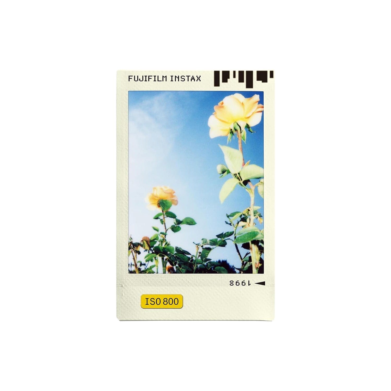Fujifilm Instax Mini Film Photo Slide