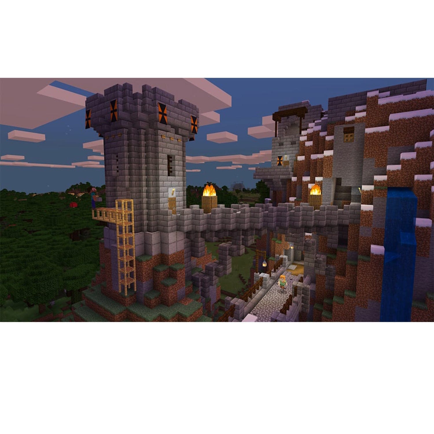 Nintendo Switch Minecraft