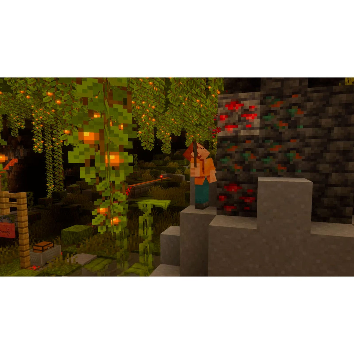 Nintendo Switch 2 Minecraft