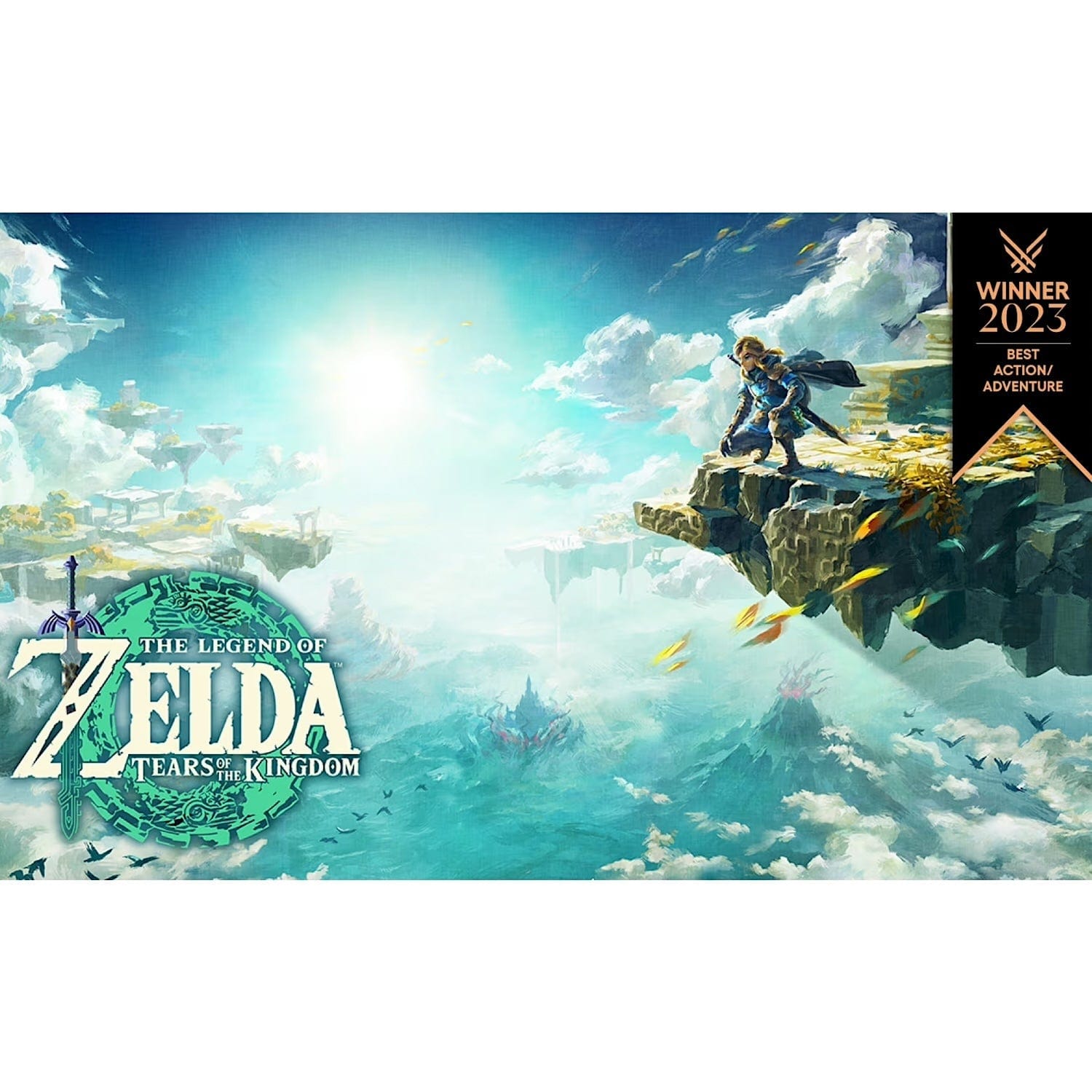 Nintendo Switch The Legend of Zelda Tears of the Kingdom