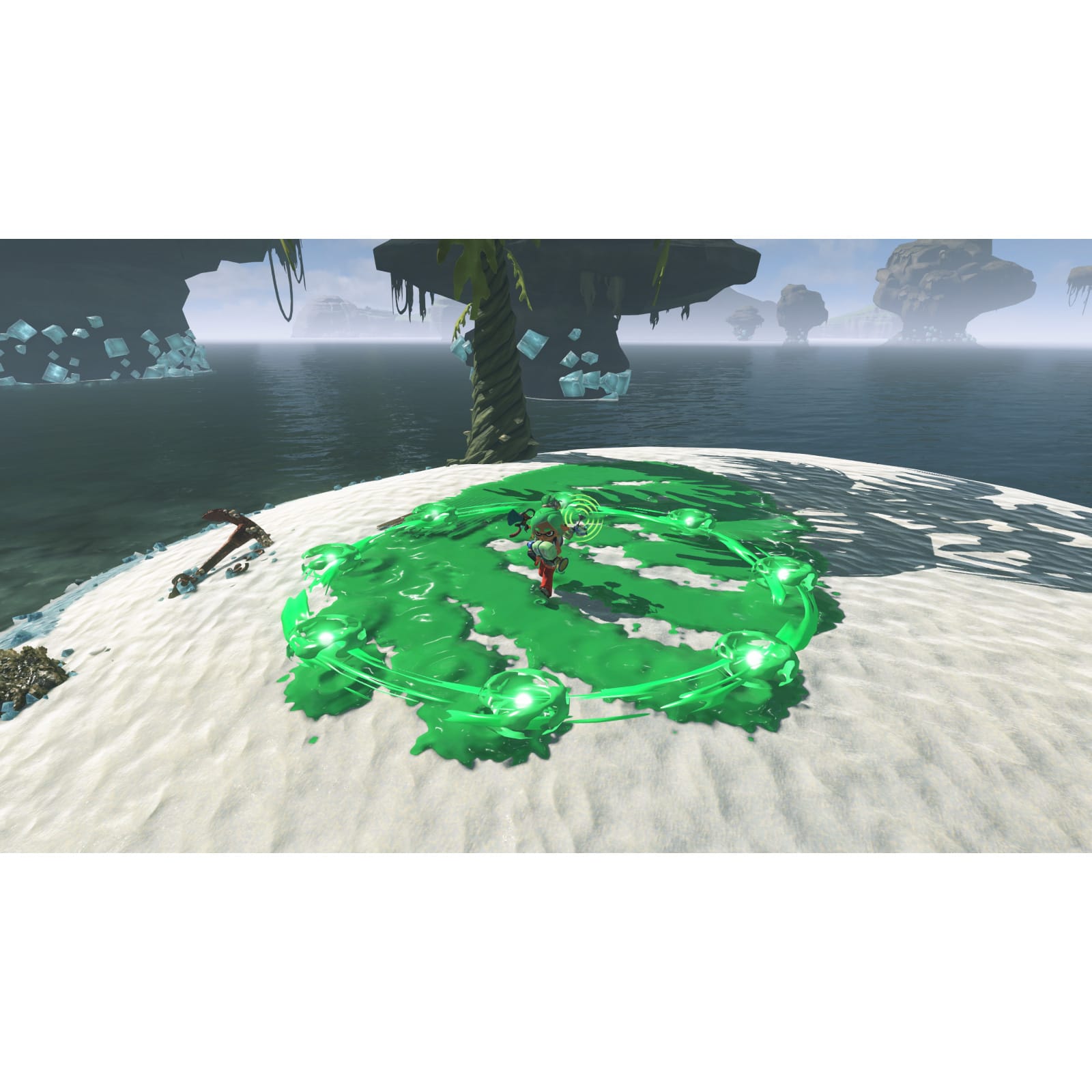 Nintendo Switch 2 Splatoon Raiders