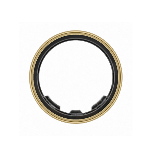 Samsung Galaxy Ring Smart Ring
