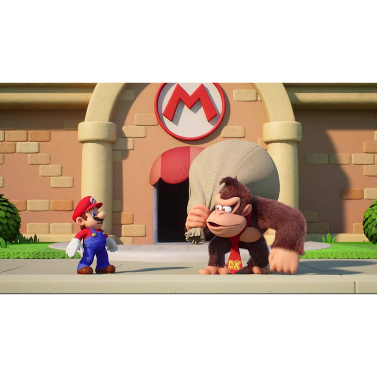 Nintendo Switch Mario Vs Donkey Kong