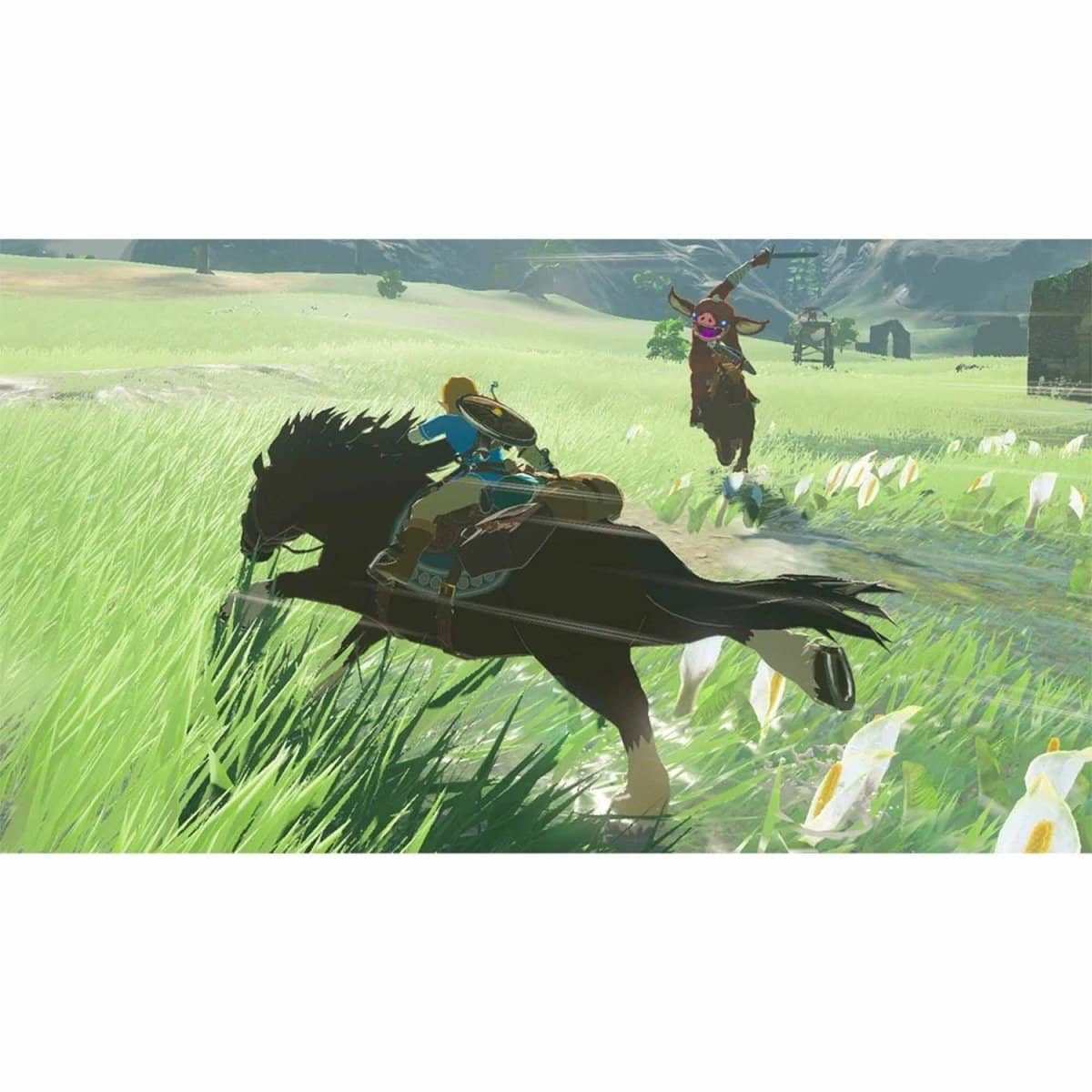 Nintendo Switch The Legend of Zelda: Breath of the Wild - Toottoot SG