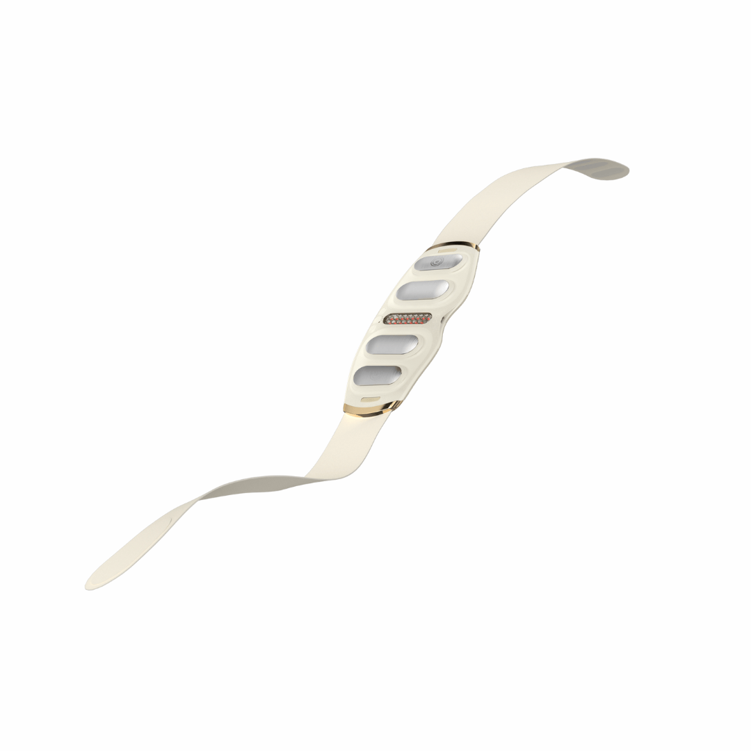 SKG GS500 Waist Massager