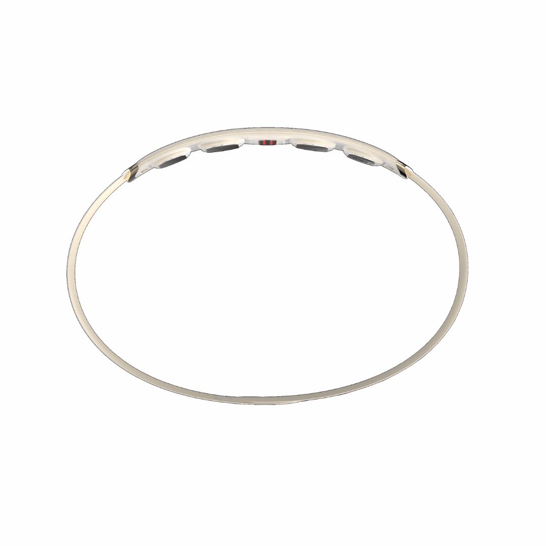 SKG GS500 Waist Massager