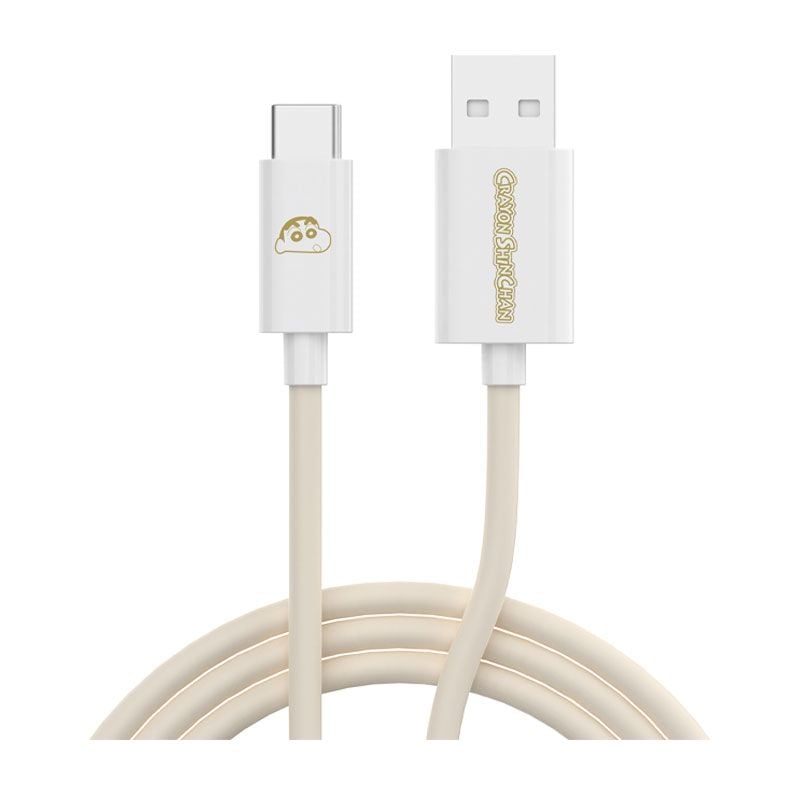 ROCK Crayon Shinchan PD100W/6A Fast Charging Cable