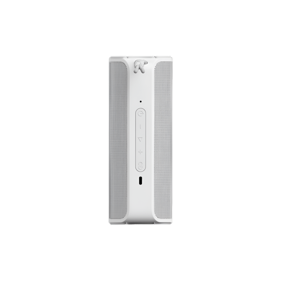 Sudio F4 Wireless Speaker