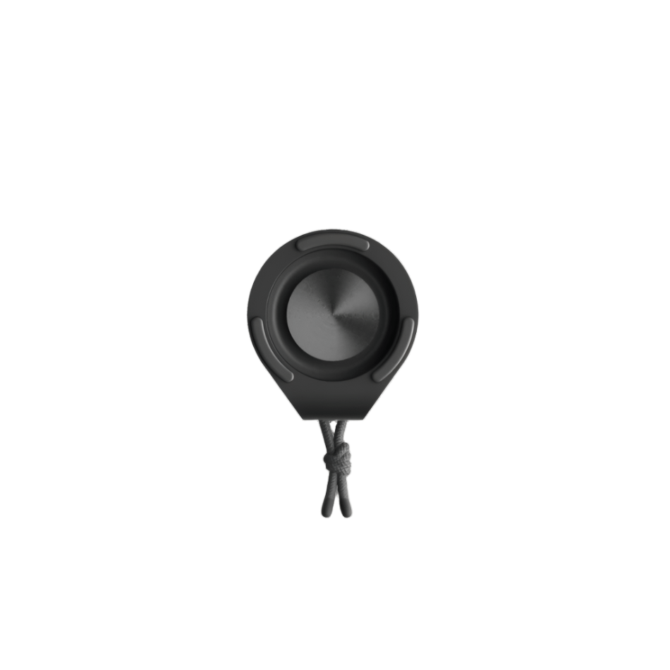 Sudio F4 Wireless Speaker