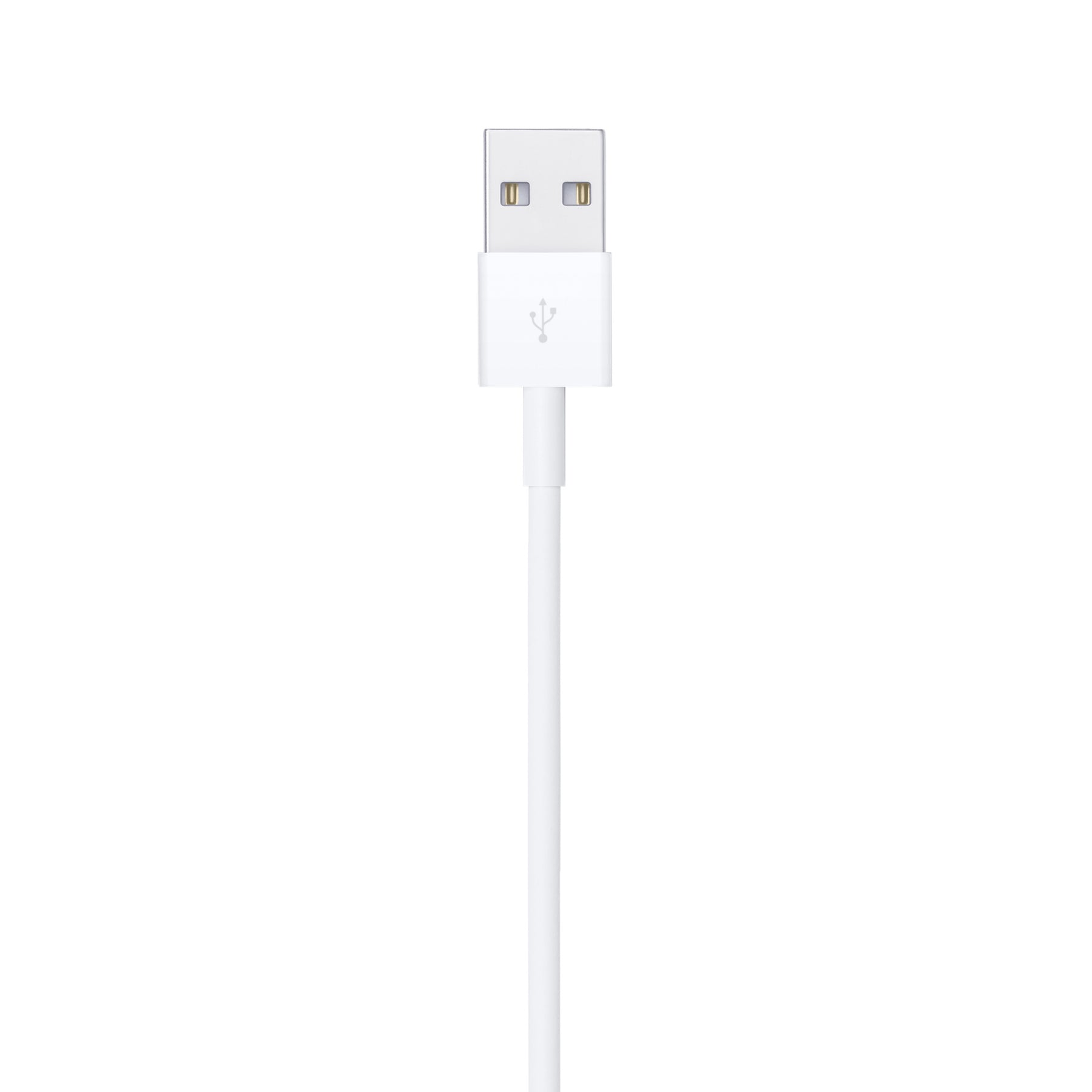 Apple Lightning To Usb Cable (1m)