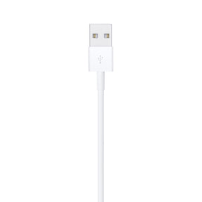Apple Lightning To Usb Cable (1m)
