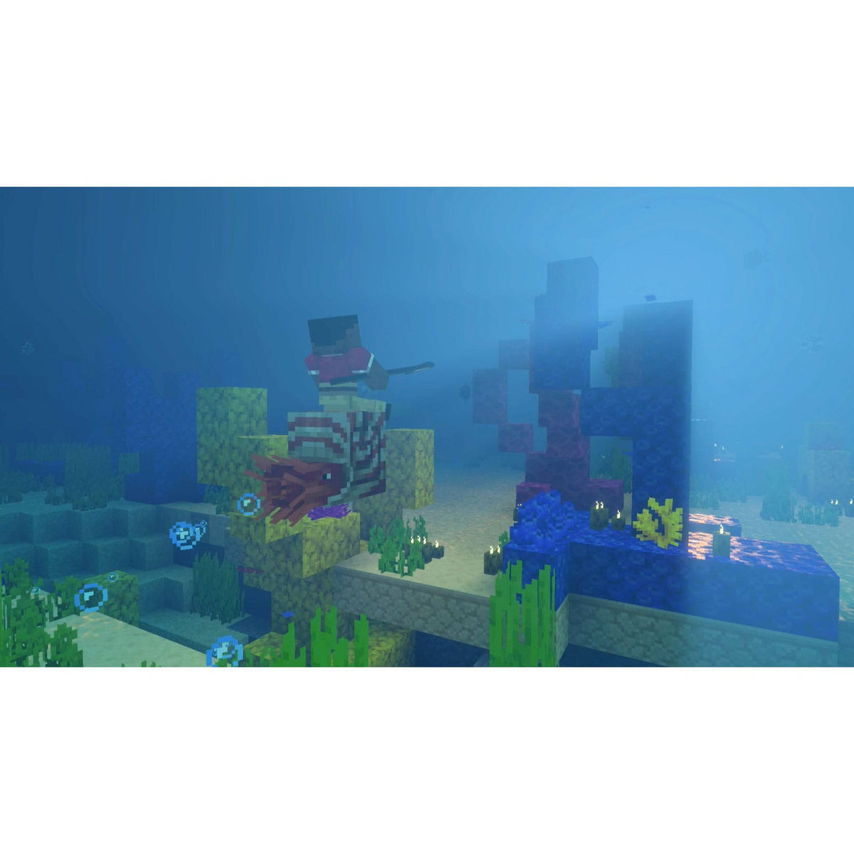 Nintendo Switch 2 Minecraft