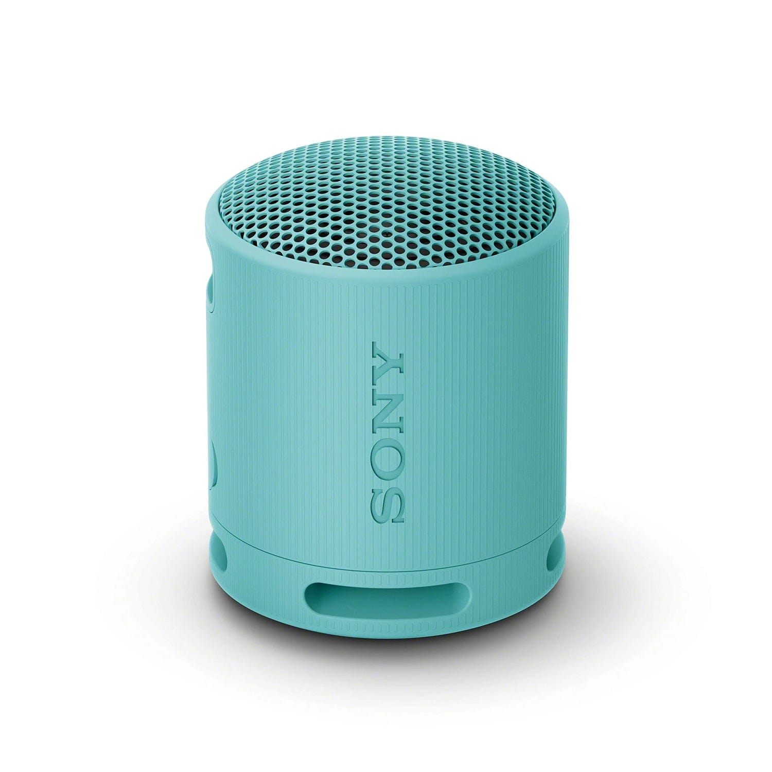 Sony SRS-XB100 Portable Wireless Speaker