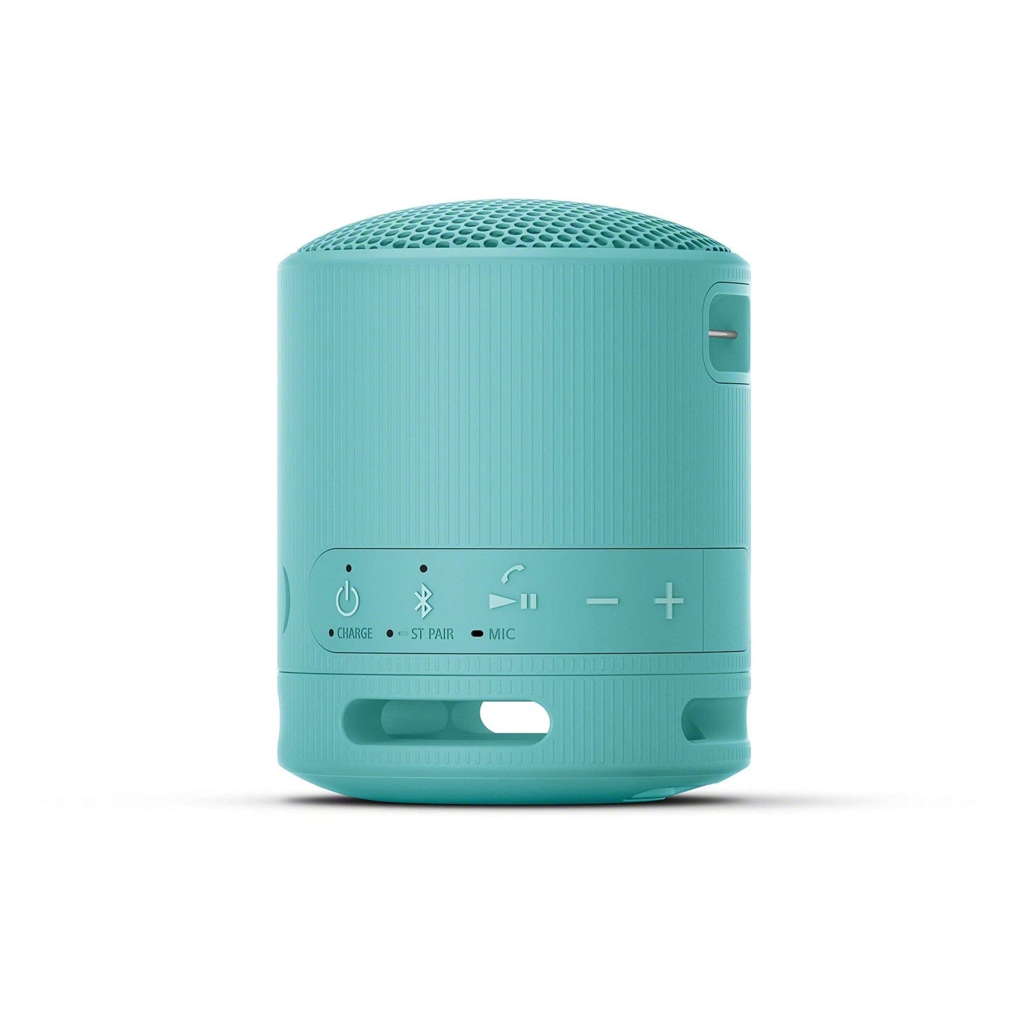 Sony SRS-XB100 Portable Wireless Speaker