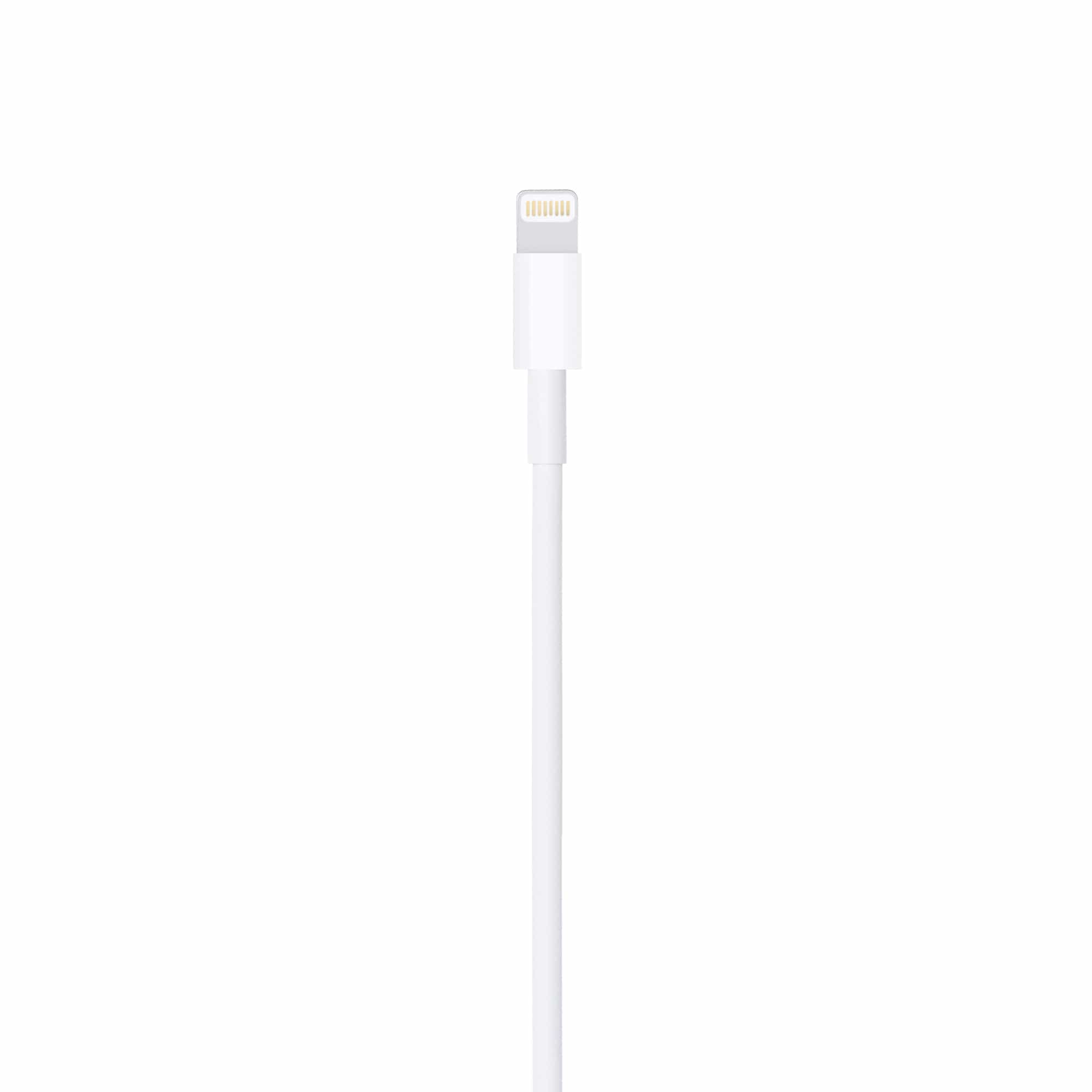 Apple Lightning To Usb Cable (1m)