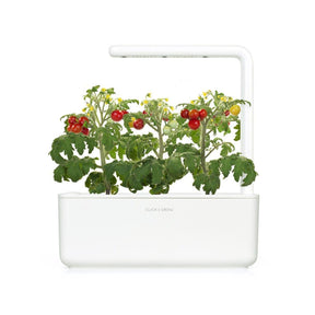 Click & Grow Mini Tomato Plant Pods (3 Pack)