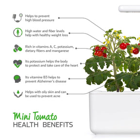 Click & Grow Mini Tomato Plant Pods (3 Pack)