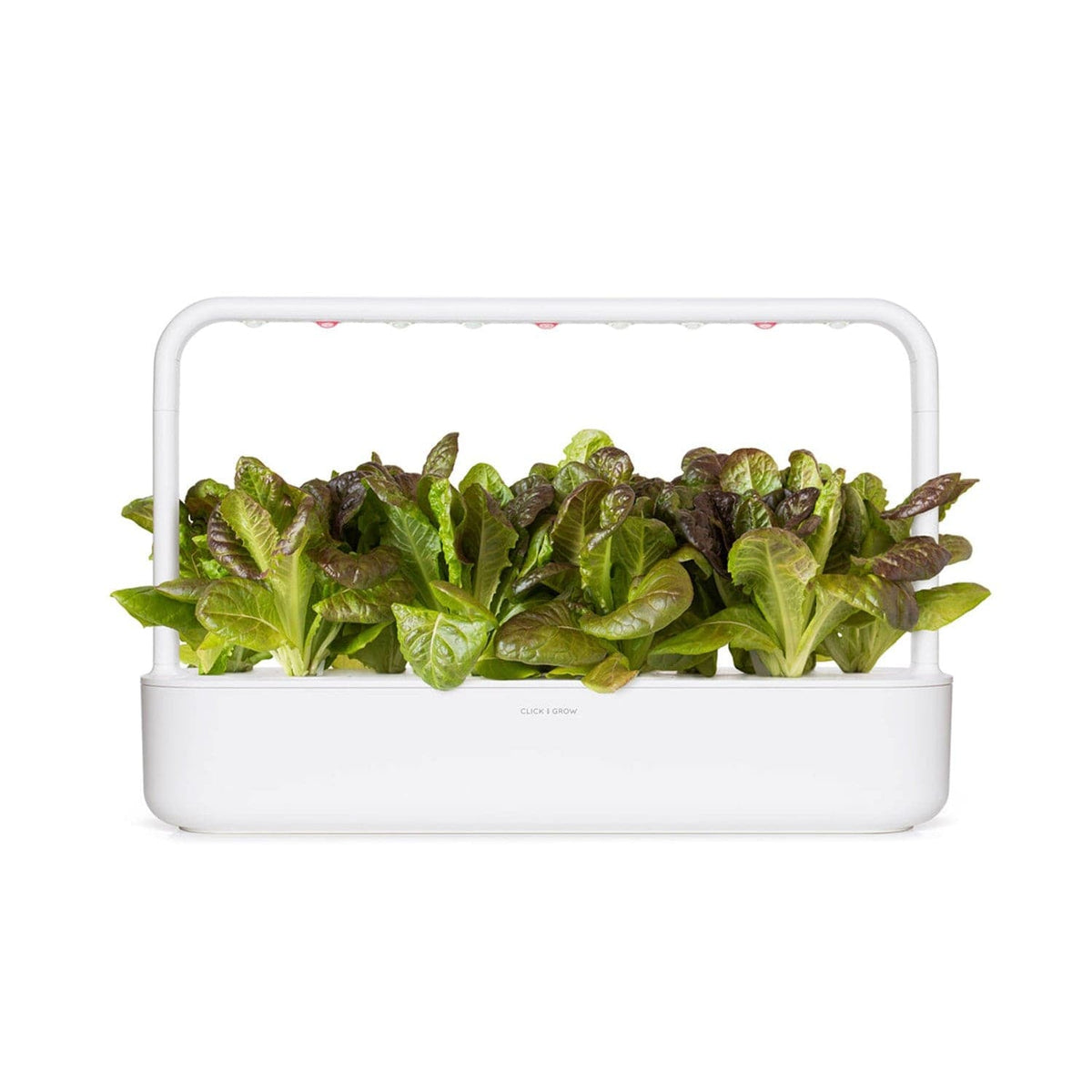 Click & Grow Romaine Lettuce Plant Pods (3 Pack)