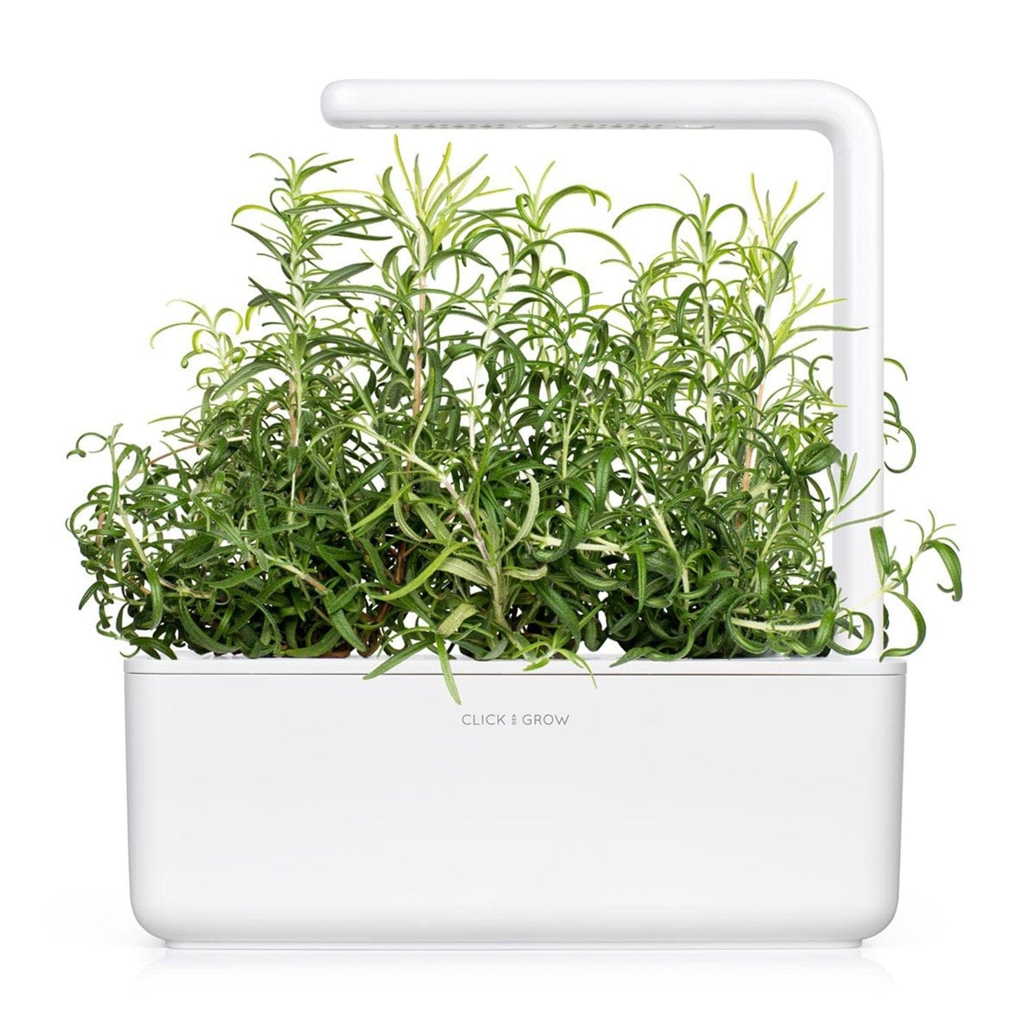 Click & Grow Rosemary Plant Pods (3 Pack)