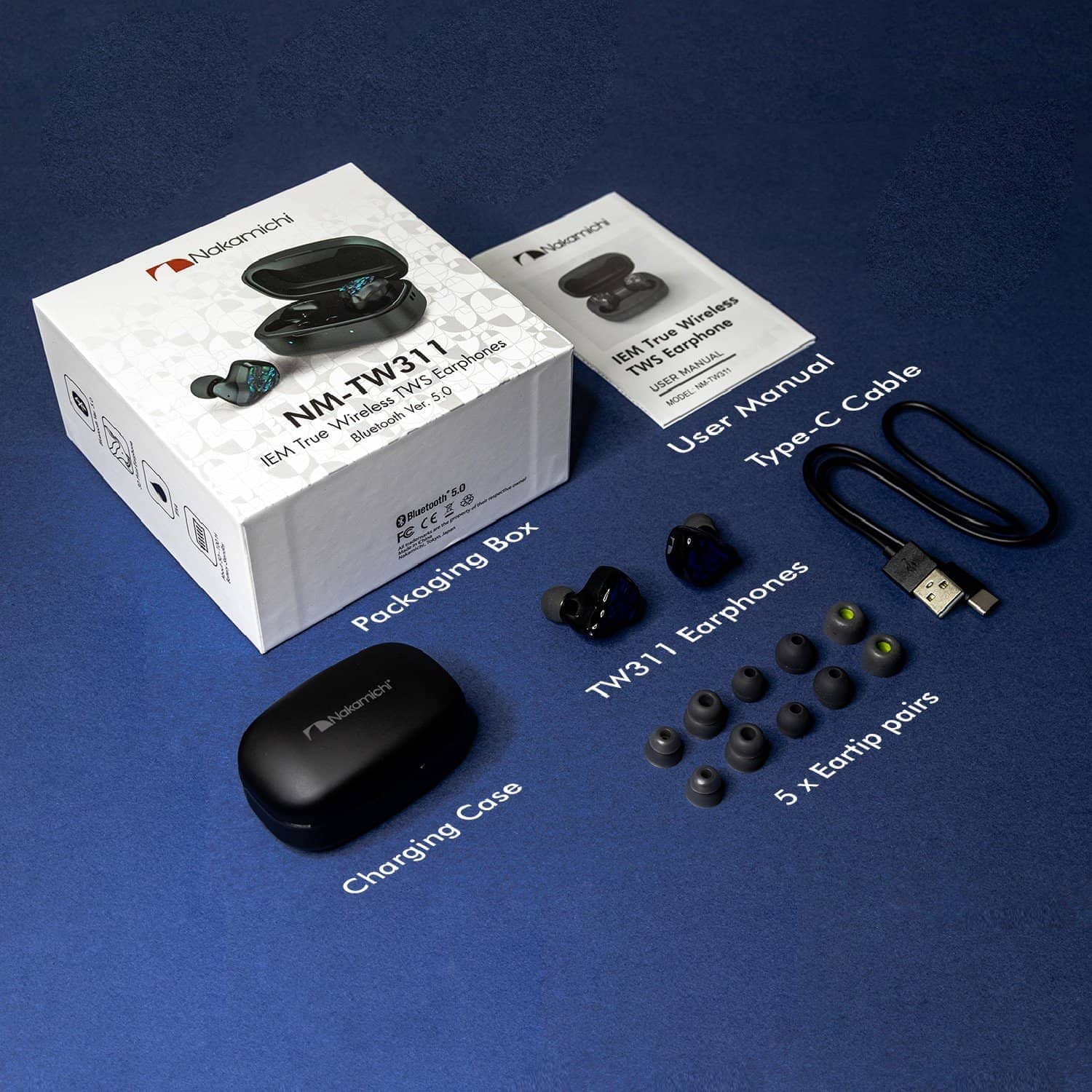 Nakamichi TW311 IEM True Wireless Earphones